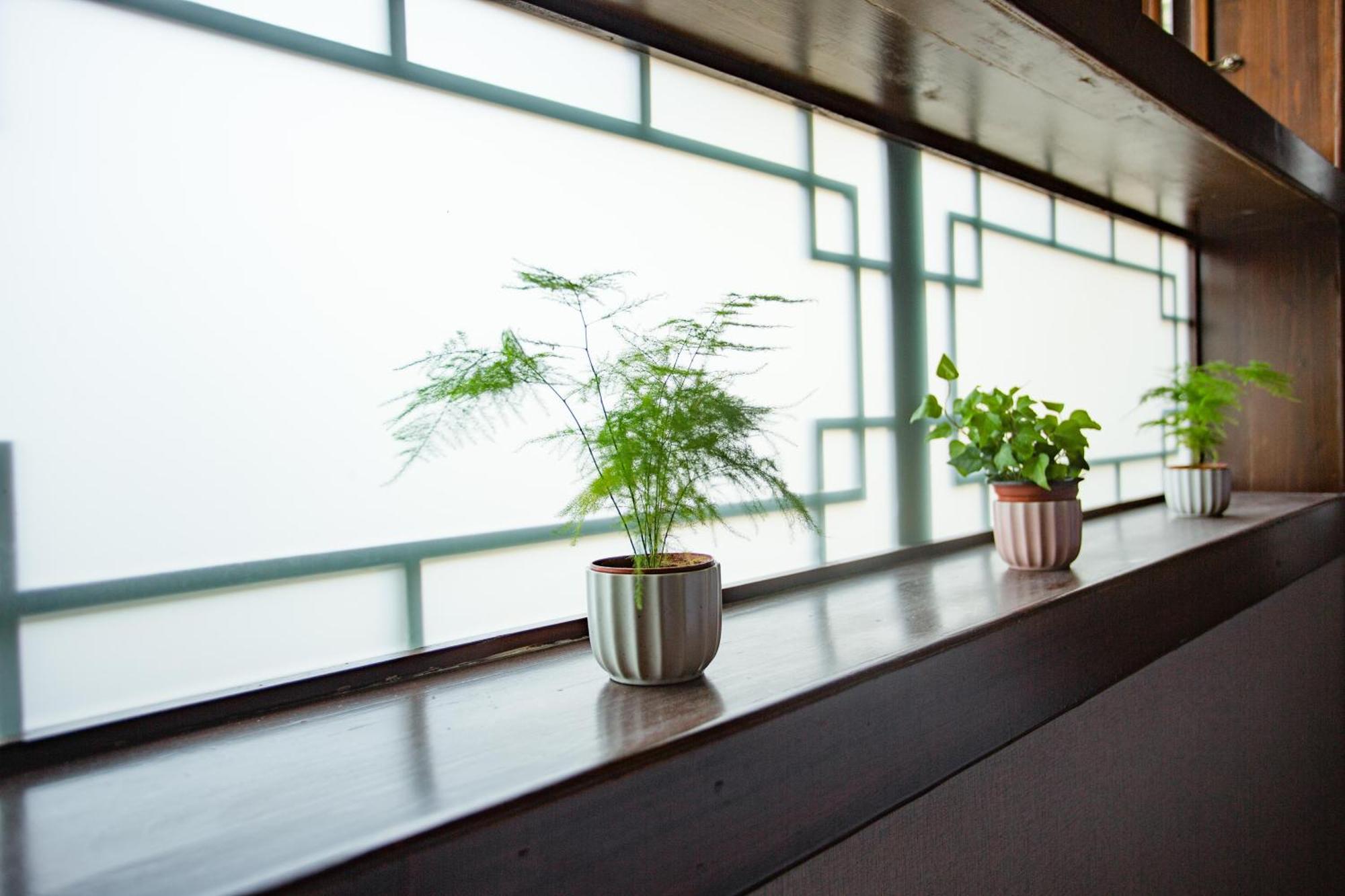 Wang Jiang Reclusive Boutique Inn Fenghuang Exterior foto